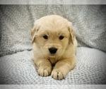 Small #9 Breeder Profile image