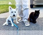 Small #10 Breeder Profile image