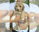 Small #3 Breeder Profile image