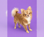 Small #5 Breeder Profile image