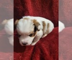 Small #82 Breeder Profile image