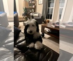 Small #3 Breeder Profile image