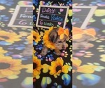 Small #224 Breeder Profile image