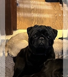 Father's photo