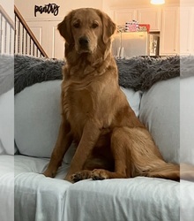 Mother's photo