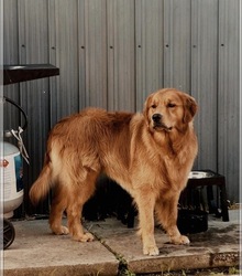 Father's photo