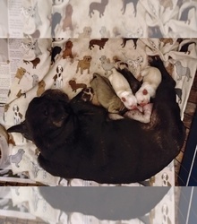 Mother's photo