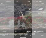 Small Photo #1 Mastiff Breeder Profile in ATWATER, CA, USA