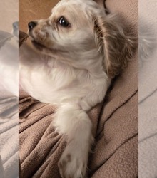 Mother's photo