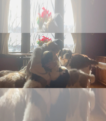 Mother's photo