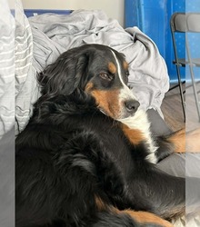 Mother's photo