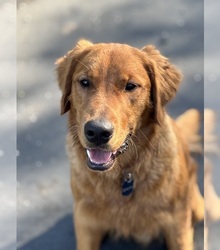 Father's photo