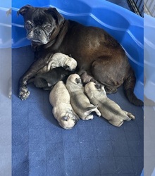 Mother's photo