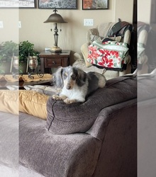 Mother's photo
