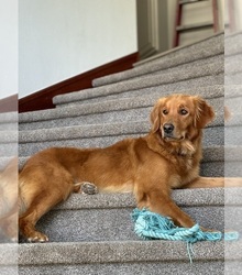 Mother's photo