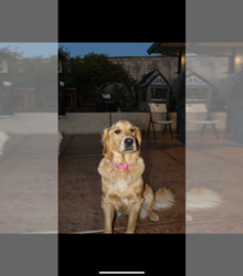 Mother's photo