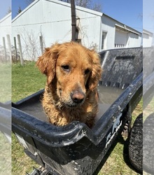Mother's photo