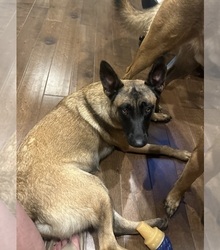 Mother's photo