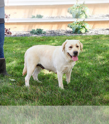 Mother's photo
