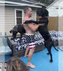 Father's photo