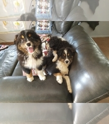 Mother's photo