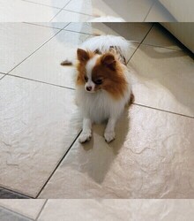 Mother's photo