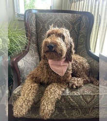 Mother's photo