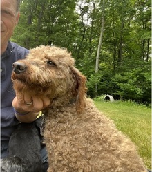 Father's photo