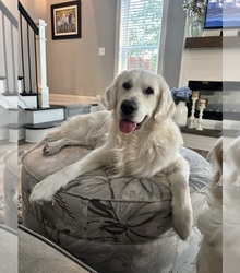 Father's photo