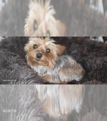 Mother's photo