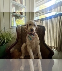 Mother's photo