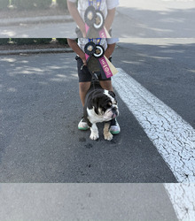 Father's photo