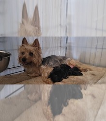 Mother's photo