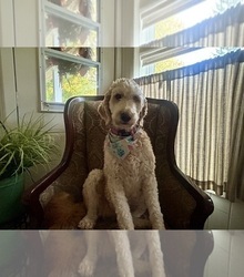 Mother's photo