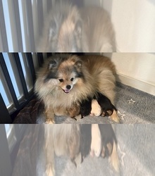 Mother's photo