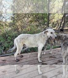 Mother's photo