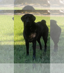 Mother's photo