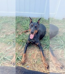 Father's photo