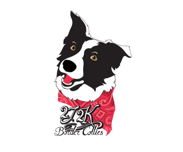 Medium Photo #1 Border Collie Breeder Profile in CONWAY, MO, USA