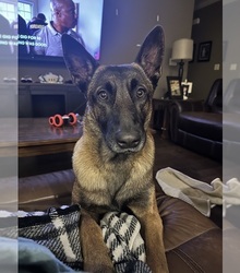 Father's photo