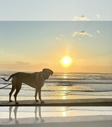 Mother's photo