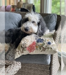 Mother's photo