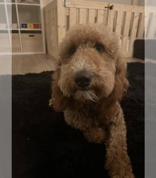 Mother's photo