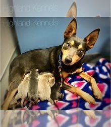 Mother's photo