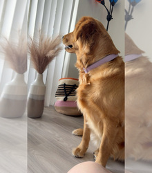 Mother's photo