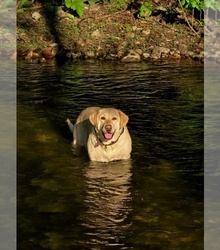 Mother's photo