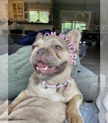 Mother's photo