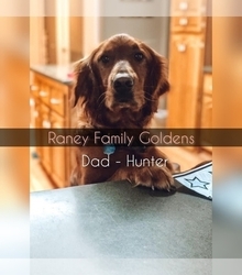 Father's photo