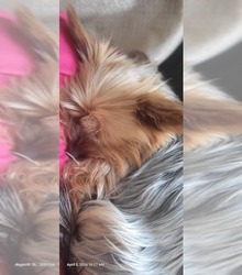 Mother's photo