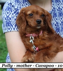 Mother's photo